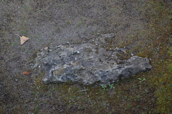 b0338976_20444061.jpg