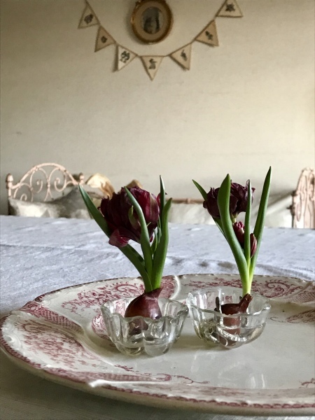 d0125776_17312014.jpeg
