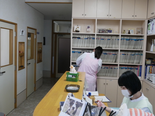 ちぃちぃが帰ってきたら、この動物病院でチェックを受けよう_f0054677_08545194.jpg
