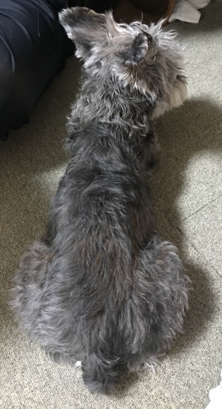 b0188998_13374264.jpeg