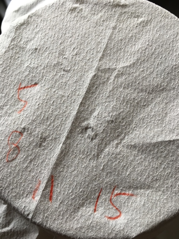b0220002_18403010.jpeg