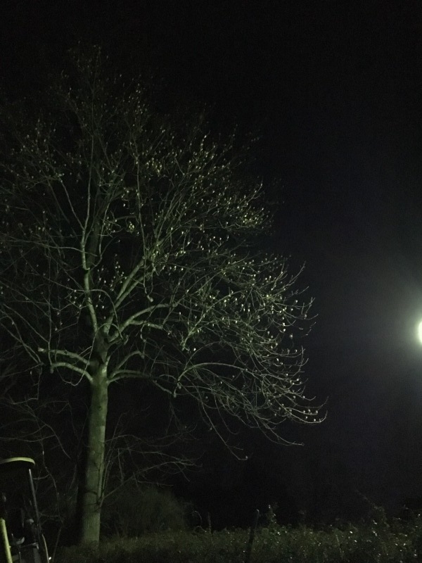 b0220002_22240164.jpeg