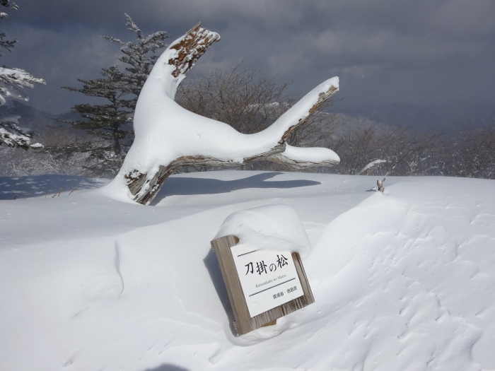 剣山　寒波が来て一日で大雪　_b0124306_23140359.jpg