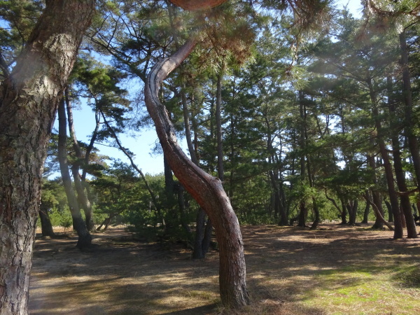 f0231709_01350083.jpg