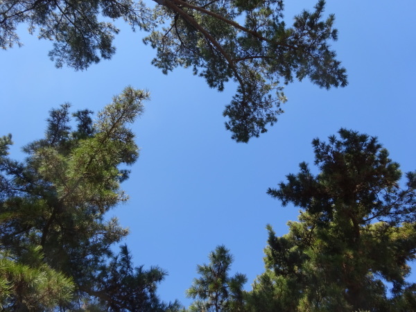 f0231709_01354932.jpg