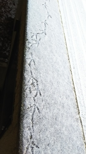f0276510_09493050.jpg