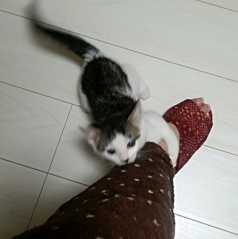 e0144012_18415097.jpeg