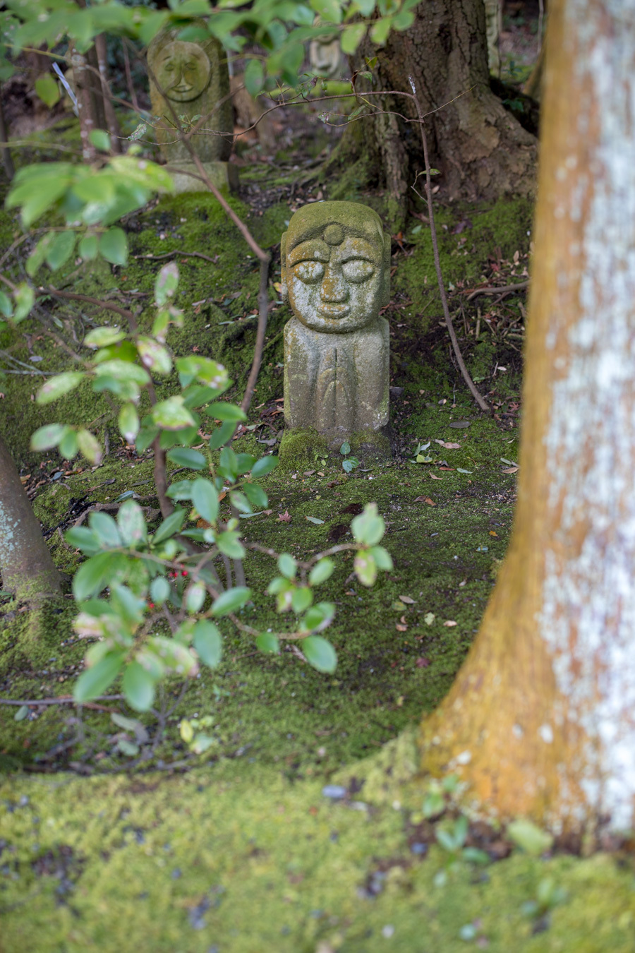 ”美”合気道「美と美」「美と美と美」「美と美と美と美と美」「美人美人」「自然の美と美」_f0033831_05350783.jpg