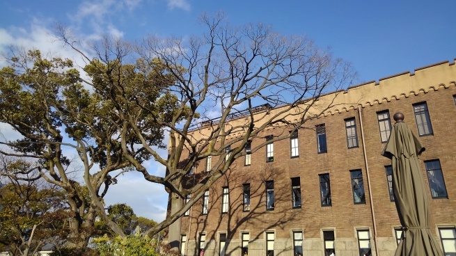 c0236632_10254572.jpg