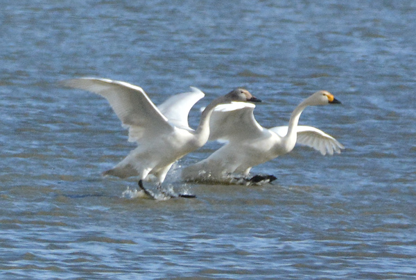 e0097534_20123515.jpg
