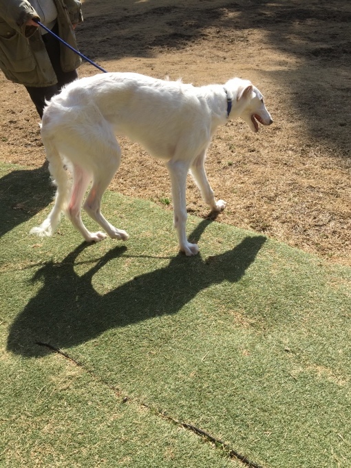 b0369239_14541283.jpeg