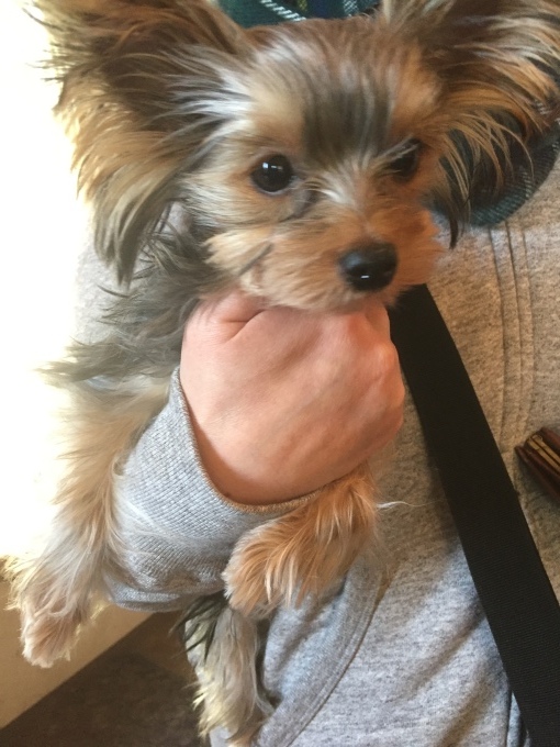 b0369239_14553621.jpeg
