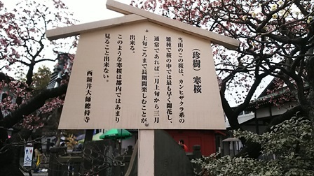 b0080342_15593839.jpg