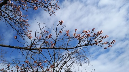 b0080342_16123458.jpg