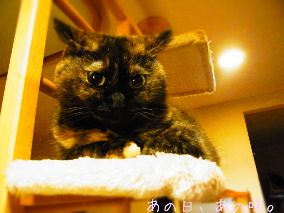 a0305046_09544179.jpg