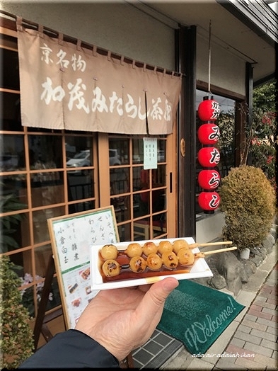 冬の京都　①下鴨神社_b0348447_09023970.jpg