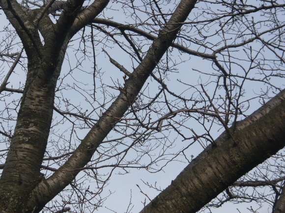 e0206847_09390821.jpg