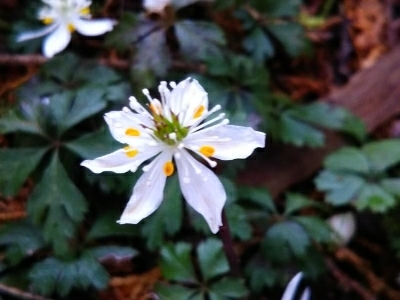 c0330749_15272076.jpg