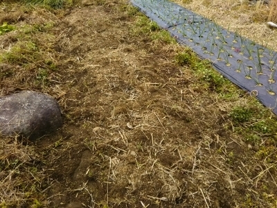 c0330749_16021495.jpg