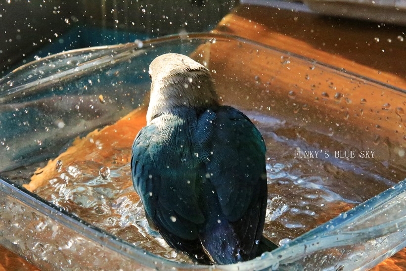 c0145250_10131495.jpg