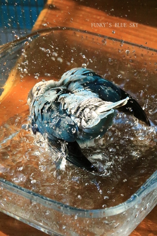 c0145250_10161468.jpg