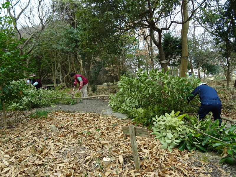 c0108460_16421712.jpg