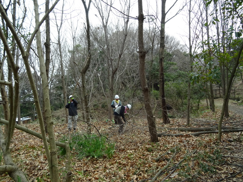c0108460_16465052.jpg
