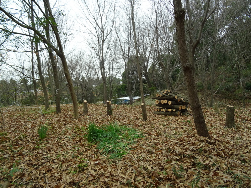 c0108460_16522434.jpg