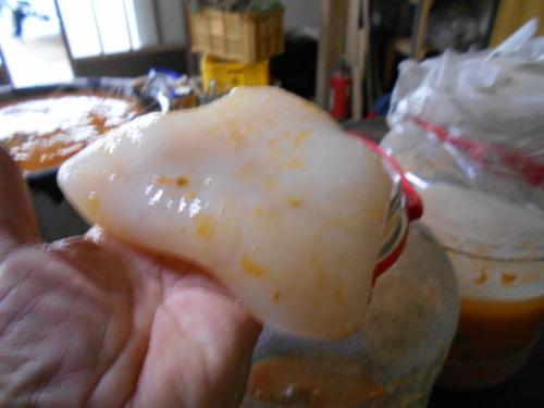 e0181260_20135978.jpg