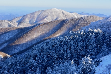 真っ白な山　　木梶山～国見山_c0303868_08373272.jpg