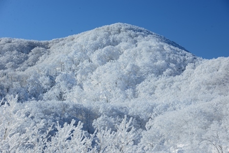 真っ白な山　　木梶山～国見山_c0303868_08414404.jpg