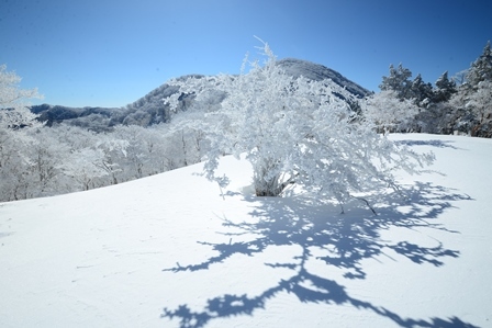 真っ白な山　　木梶山～国見山_c0303868_08470720.jpg