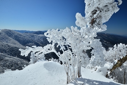 真っ白な山　　木梶山～国見山_c0303868_08510650.jpg