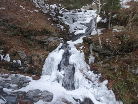 真っ白な山　　木梶山～国見山_c0303868_08585267.jpg