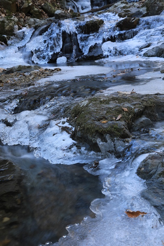 e0304170_19315743.jpg