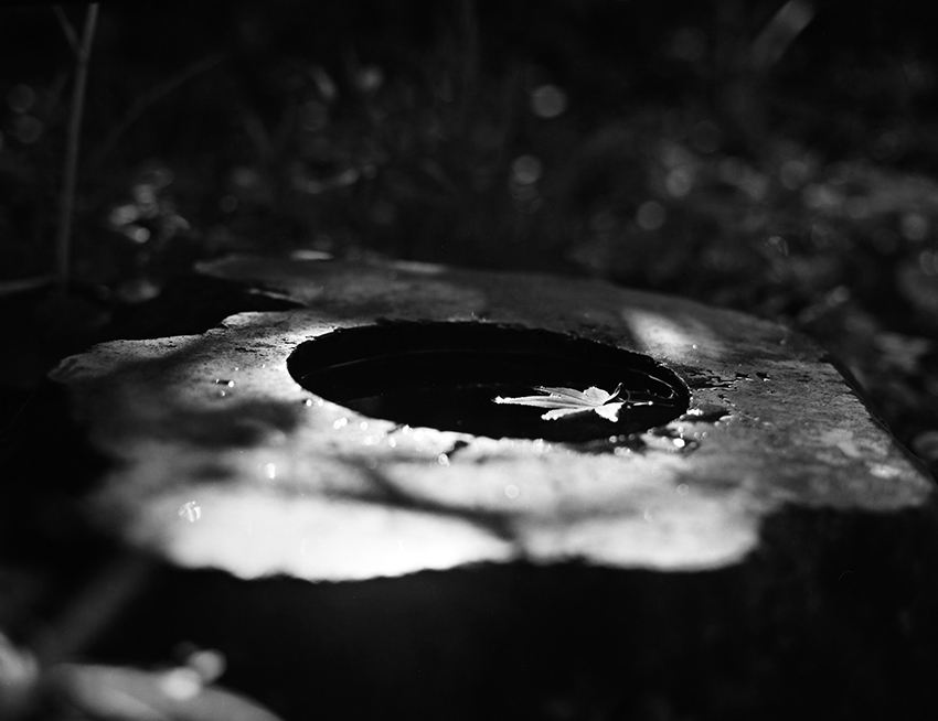 b0366473_20093551.jpg