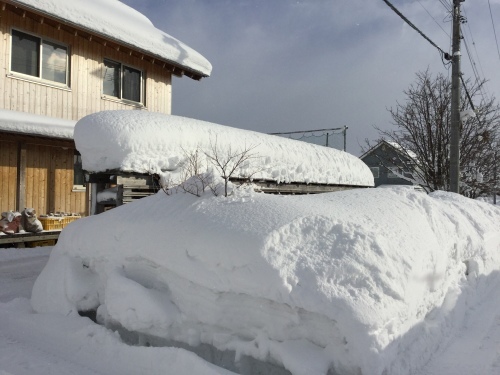 b0221077_12271505.jpeg