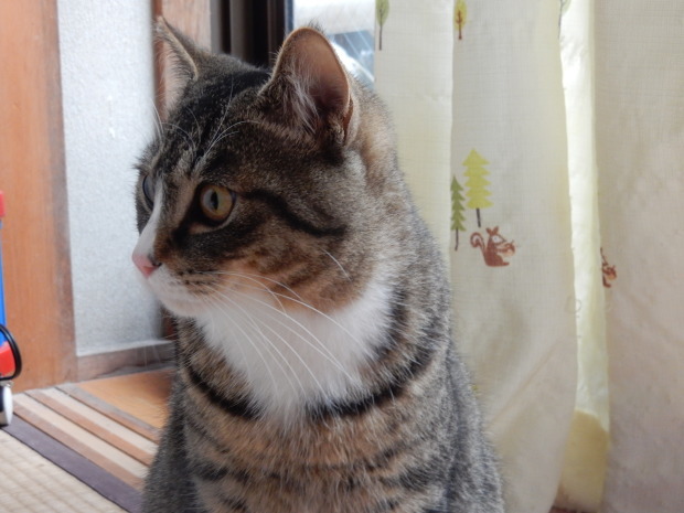 滝_e0355177_15223613.jpg