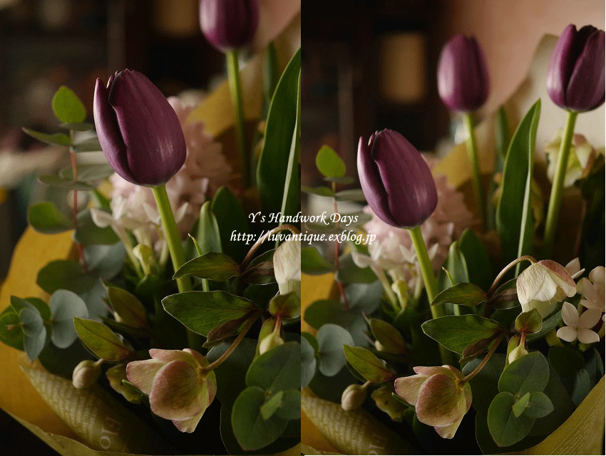 f0330978_15354050.gif