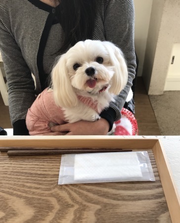 b0193480_14545695.jpeg