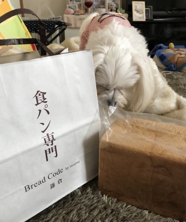 b0193480_14554869.jpeg