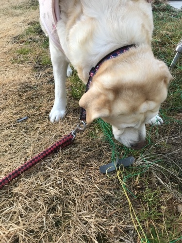f0315081_22063246.jpeg