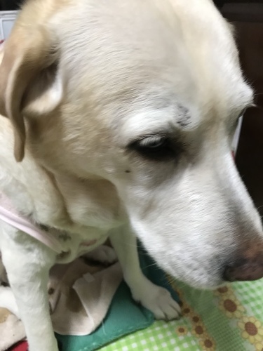 f0315081_22092750.jpeg