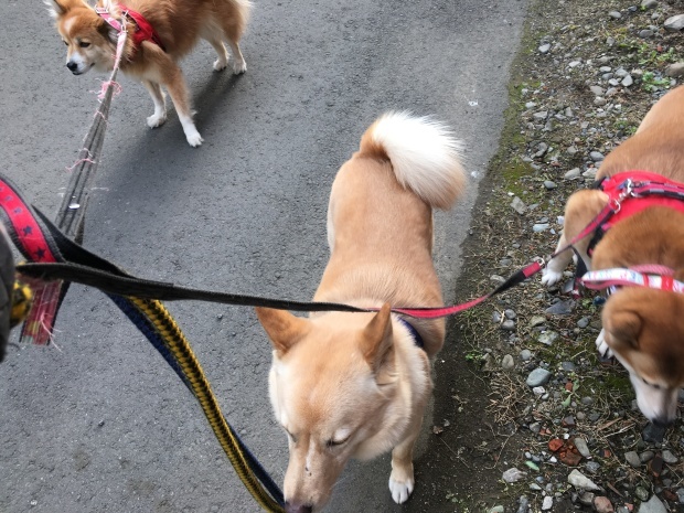 b0377882_23395764.jpeg