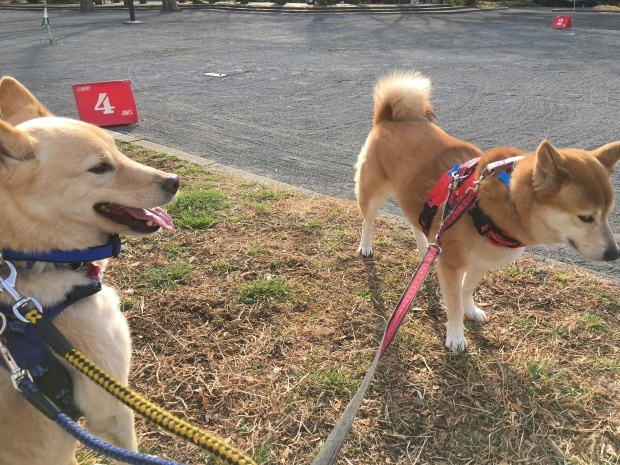 b0377882_23404624.jpeg
