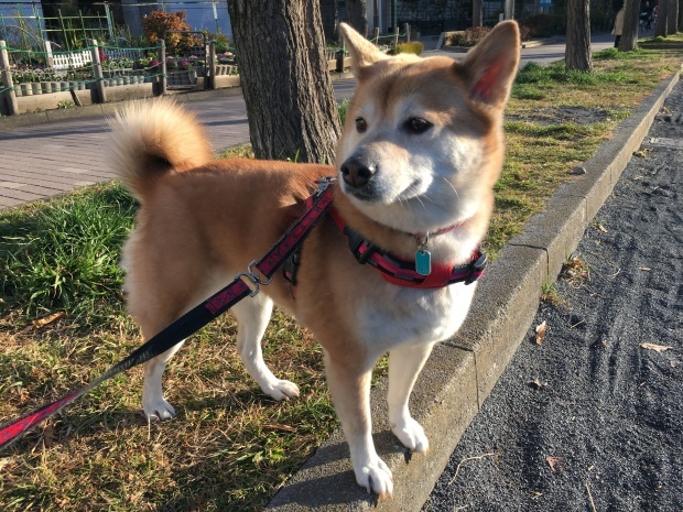 b0377882_23411656.jpeg