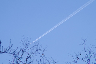 b0056983_19352552.jpg