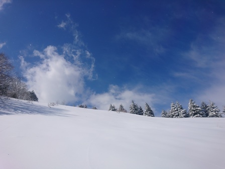 続・山スキートレ_c0018489_21474509.jpg