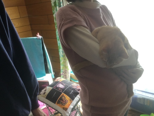d0179994_02422959.jpeg