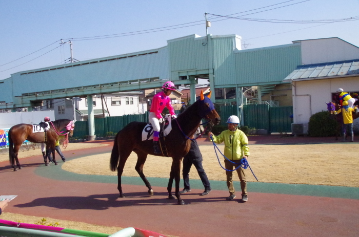 ビーディフォース 76戦目＠浦和競馬場 7R 2018.2.15_b0244496_19315748.jpg